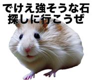 805401916