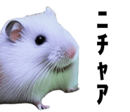 805401918