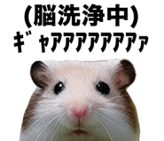 805401923