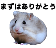 805401924