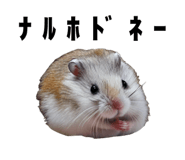 805401933