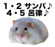 805401947