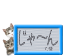 805404319