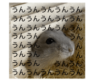 805412392