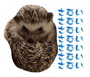 805412399