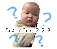805416440