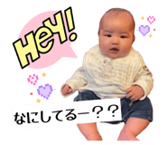 805416442