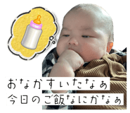 805416443