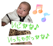 805416445