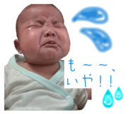 805416446