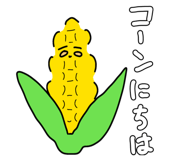805441554