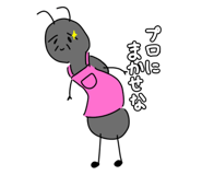 805441557