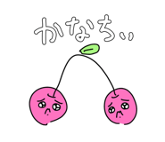 805441562