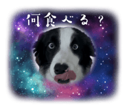 805442358