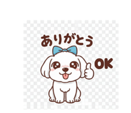 805444329