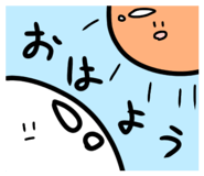 805480018