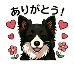 805487357