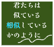 805504974