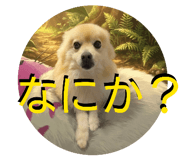 805510766