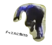 805511459