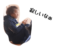 805511462