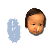 805520816