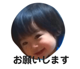 80552477