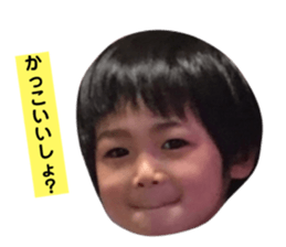 80552482