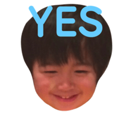 80552498