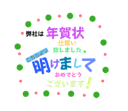 805525029