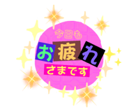 805525040