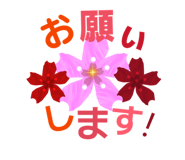 805525042