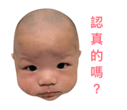 805546837