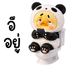 805563893