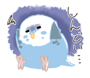 805565117