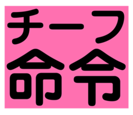 805566542