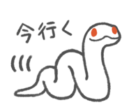 805608061