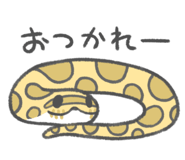 805608071