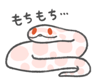 805608076