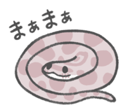 805608085