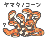 805608092