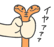 805608096