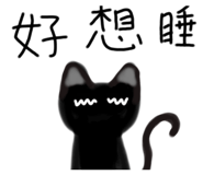 805630919