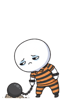 805646997