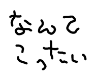 805650556