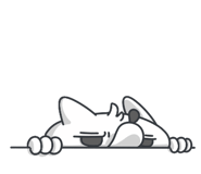 805651055
