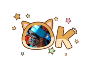 805651529