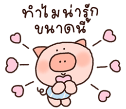 ลายที่ 41