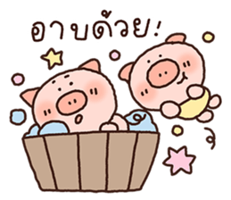 ลายที่ 47