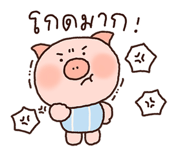 ลายที่ 49